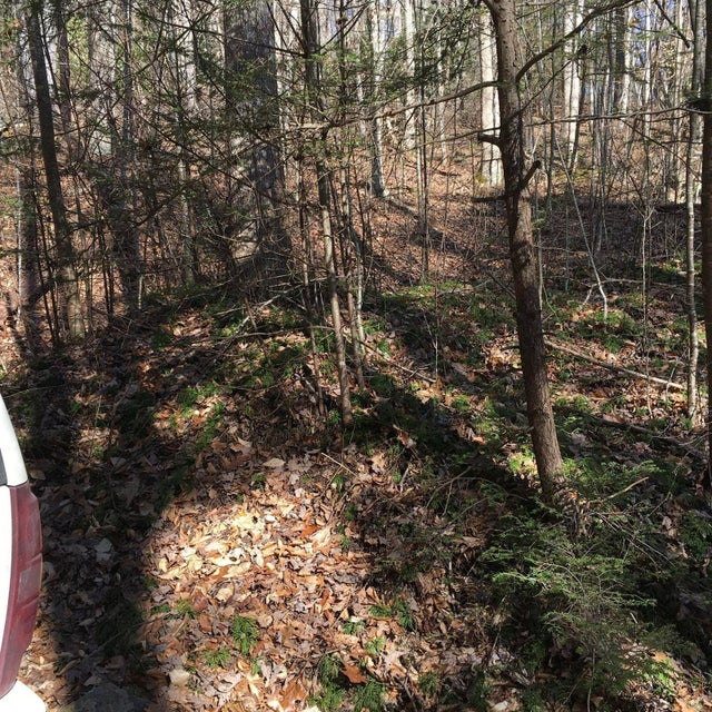 Photo #4: Tbd Banjo Ridge Rd Lot 33