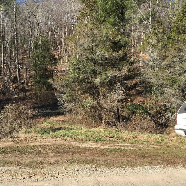 Photo #4: Tbd Greggs Branch Rd Lot 34