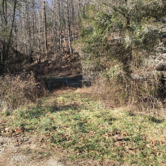 Photo #5: Tbd Greggs Branch Rd Lot 34