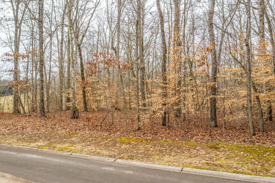 Photo #1: Lot 34 Blount Circle