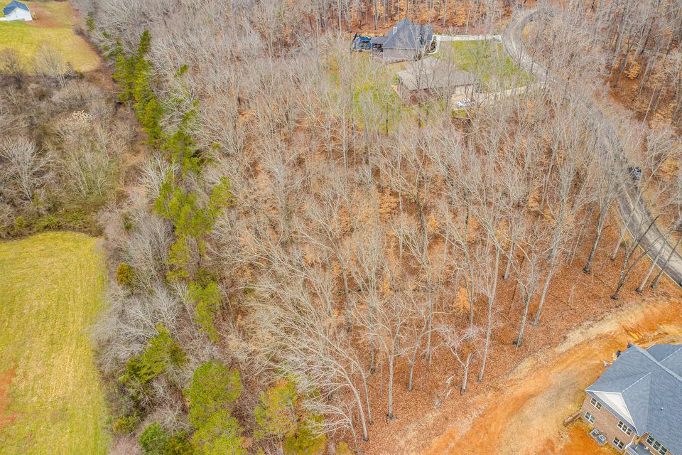 Photo #3: Lot 34 Blount Circle