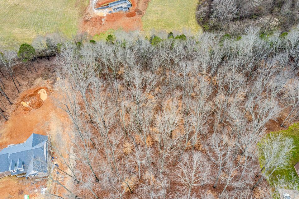 Photo #5: Lot 34 Blount Circle