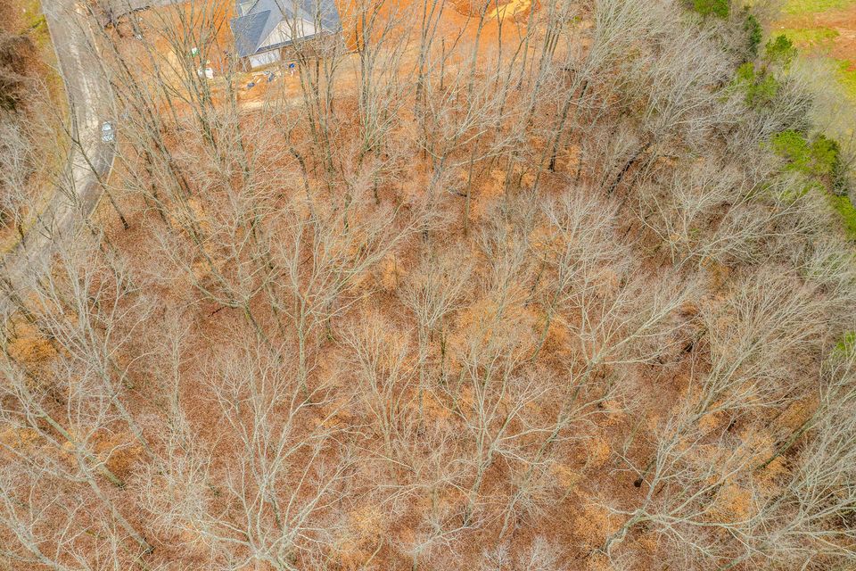 Photo #8: Lot 34 Blount Circle