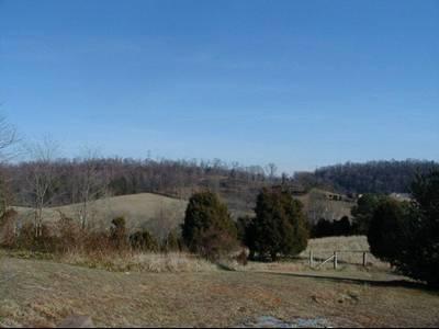 Photo #4: 1604 Boones Creek Road