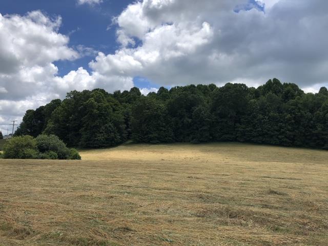 Photo #2: Tbd Hillman Highway