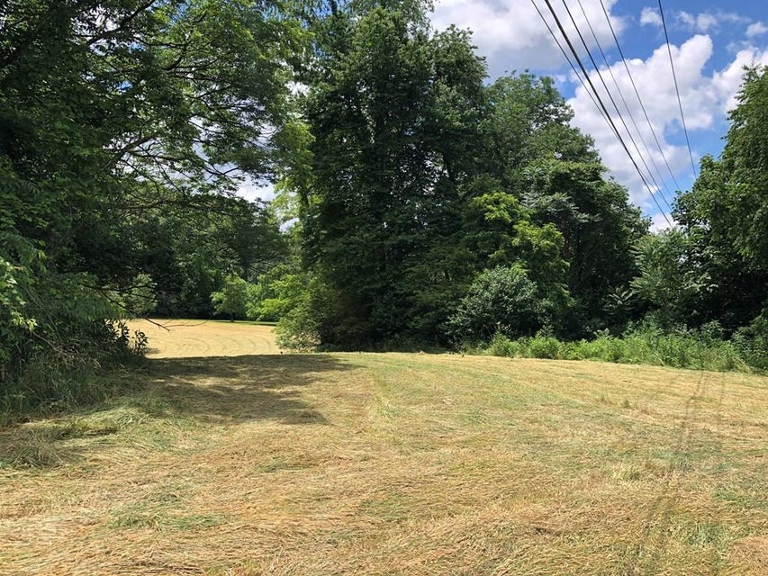 Photo #4: Tbd Hillman Highway