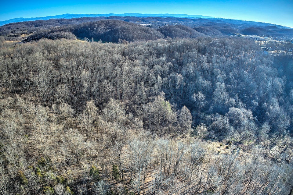 Photo #7: 1100 Highridge Drive