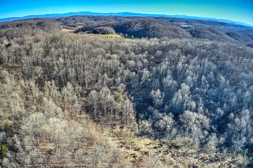 Photo #8: 1100 Highridge Drive