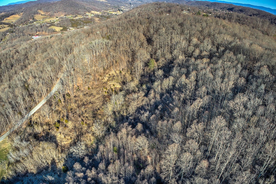 Photo #10: 1100 Highridge Drive