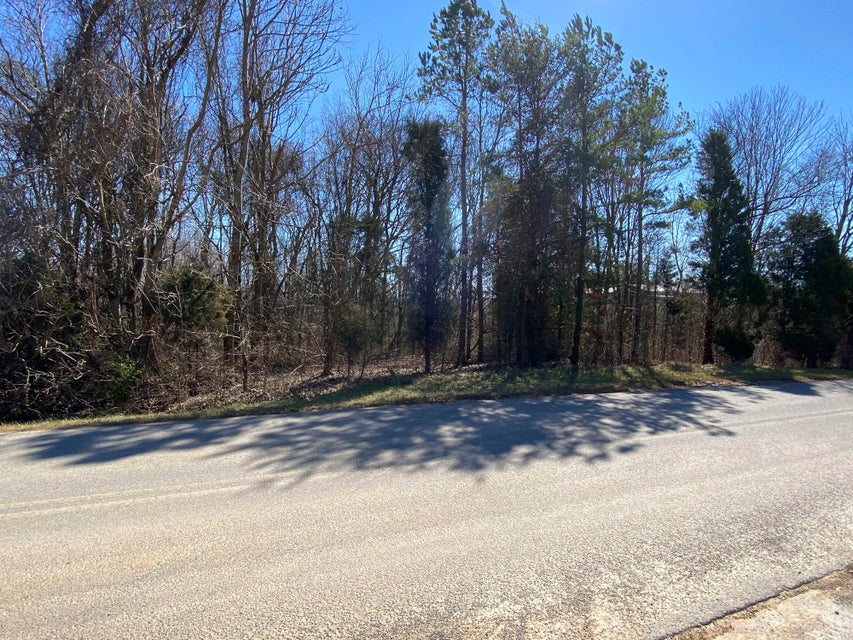 Photo #4: 0 Pine Drive