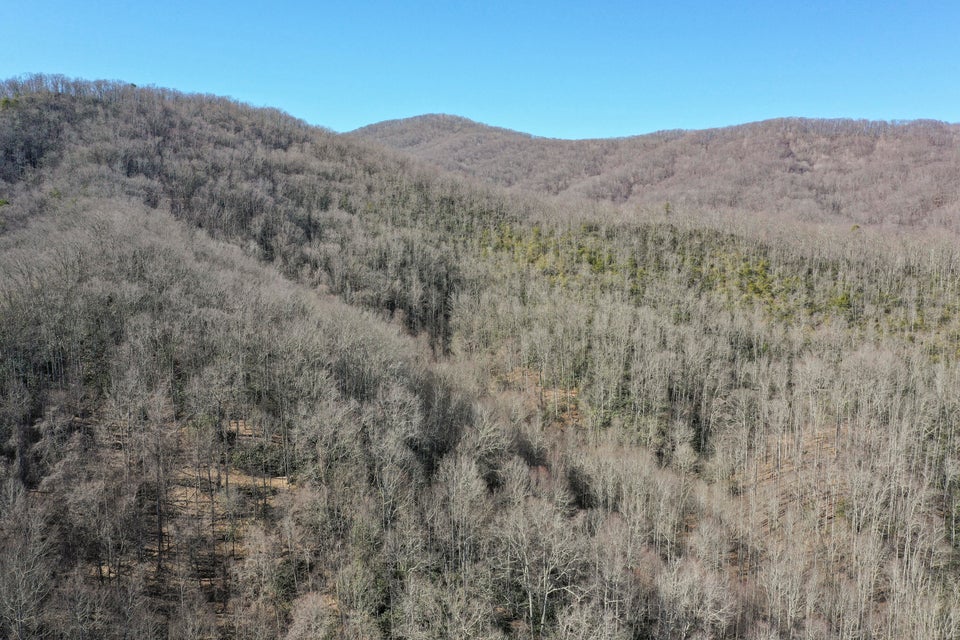 Photo #18: Tbd Highway 143