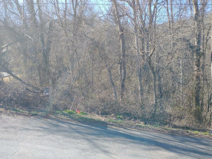 Photo #8: Tbd San Antonio Drive
