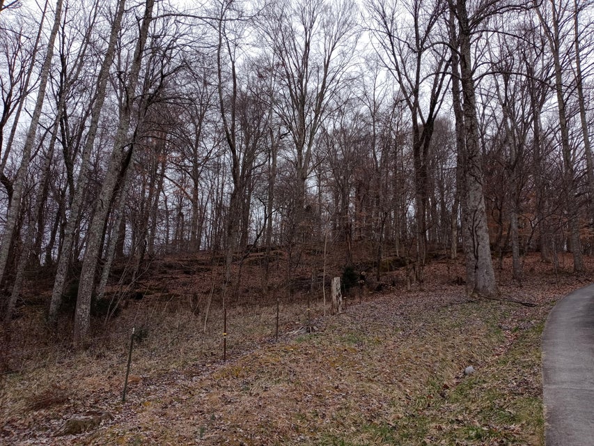 Photo #28: 309 Sells Road