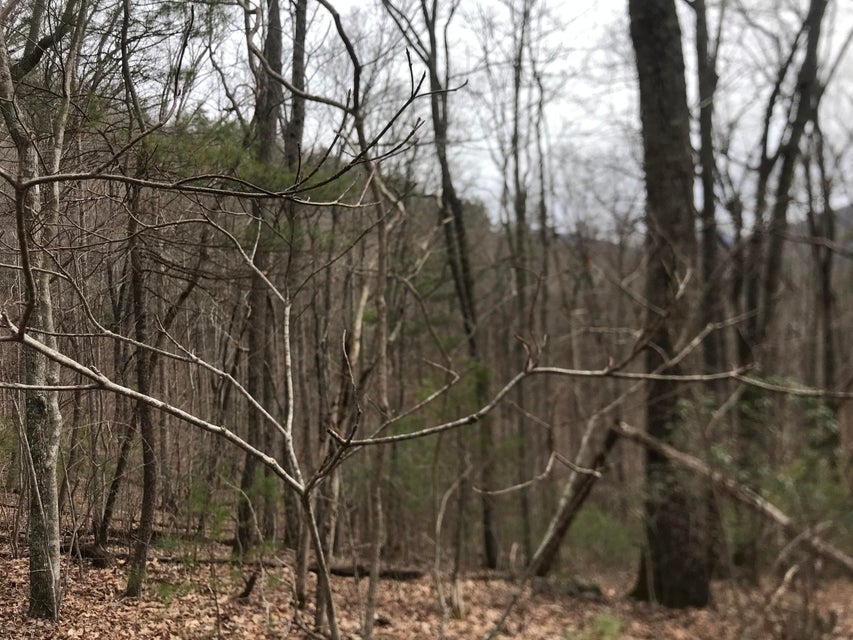 Photo #4: Tbd Hiddenwood Drive