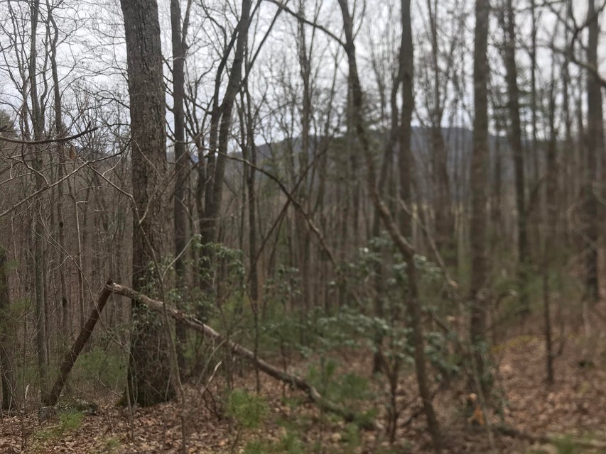 Photo #1: 00 Hiddenwood Drive