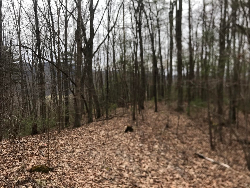 Photo #3: 00 Hiddenwood Drive