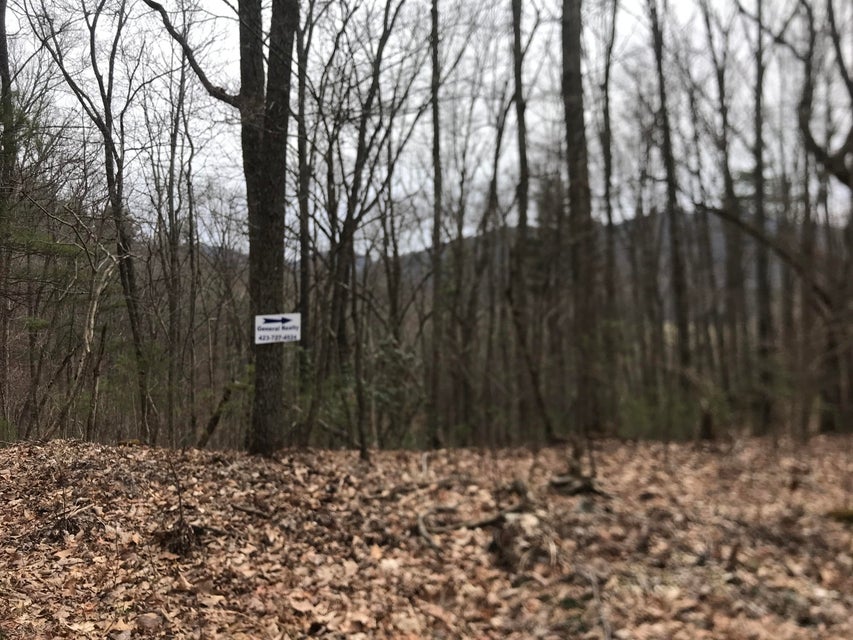 Photo #4: 00 Hiddenwood Drive