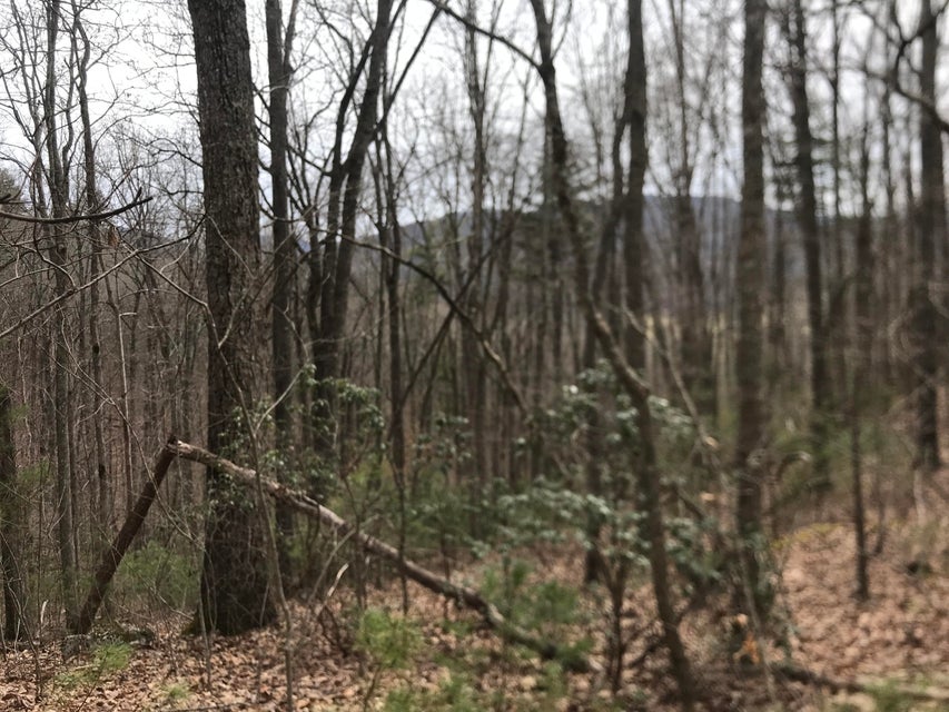 Photo #5: 00 Hiddenwood Drive