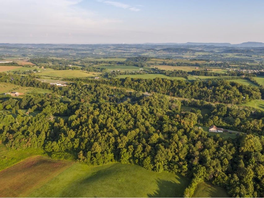 Photo #1: 170 Mccarty Hollow Road
