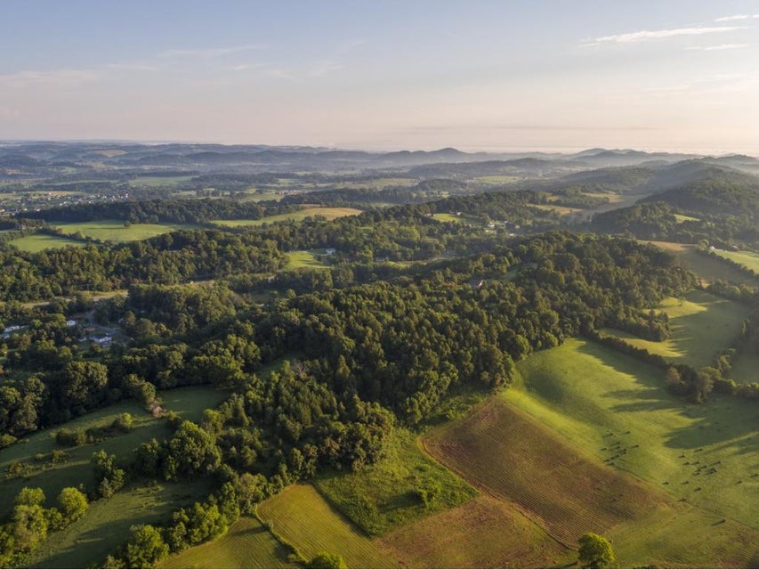 Photo #3: 170 Mccarty Hollow Road