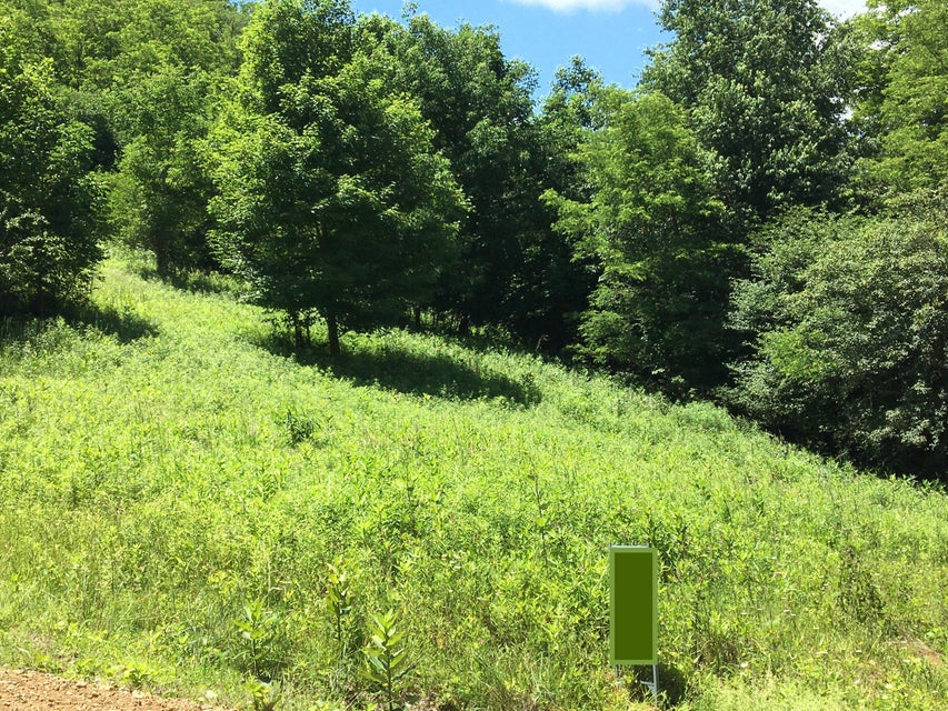 Photo #2: Tbd Shell Creek Road