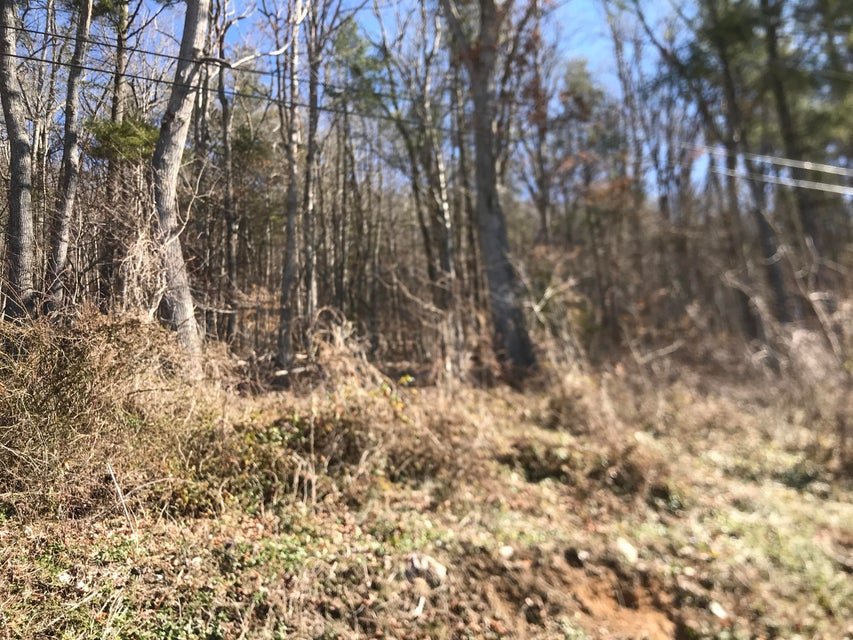Photo #1: Tbd Rhea Road