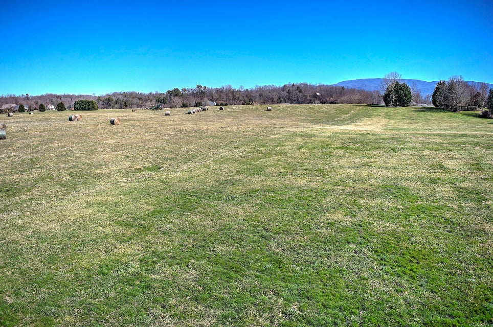 Photo #14: Lt 3 Waterstone Circle