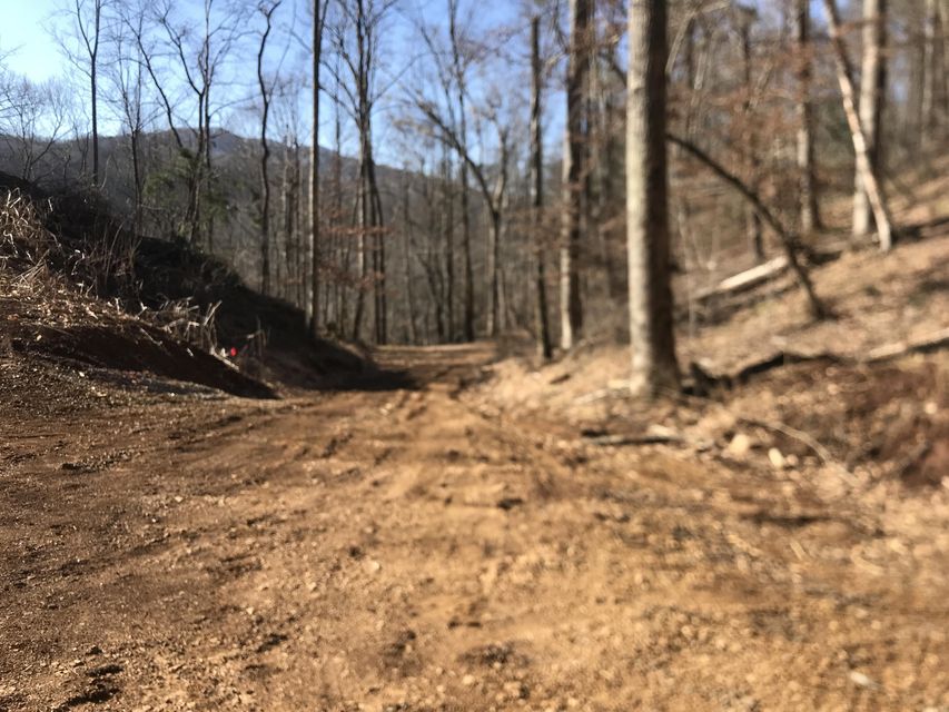 Photo #1: Tbd Rhea Road