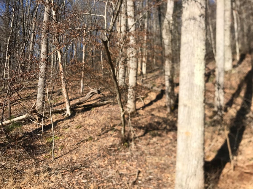 Photo #2: Tbd Rhea Road