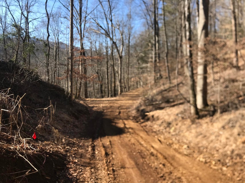Photo #3: Tbd Rhea Road