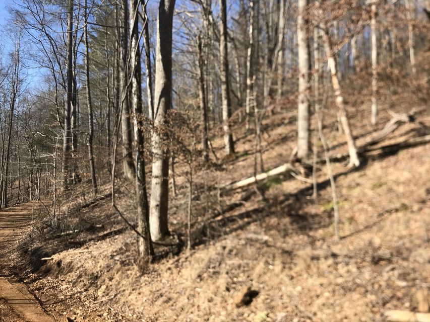Photo #4: Tbd Rhea Road