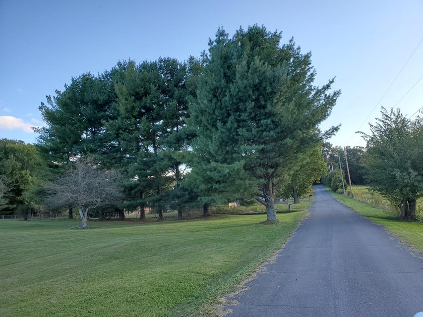 Photo #11: - Brookdale Drive