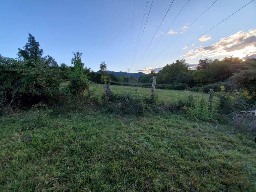 Photo #6: - Brookdale Drive