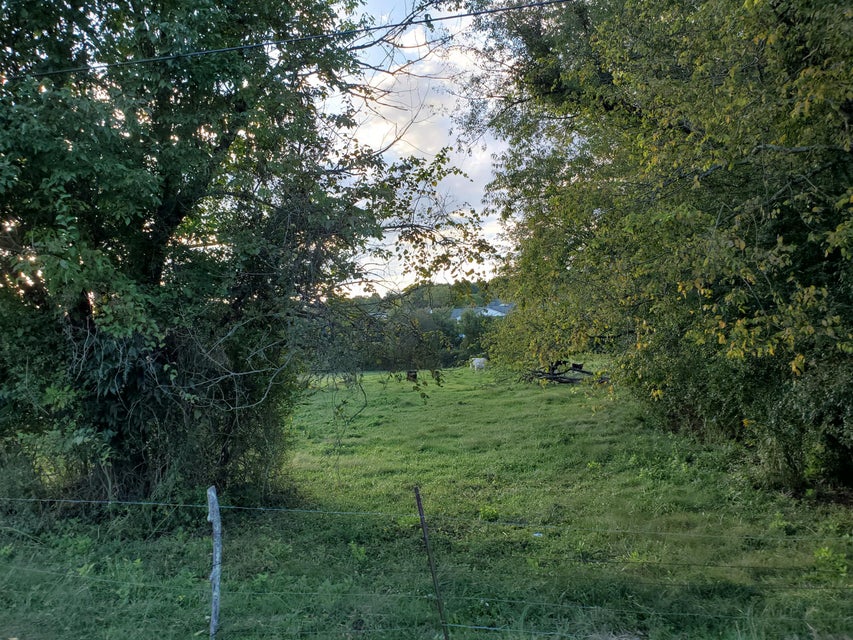 Photo #14: - Brookdale Drive