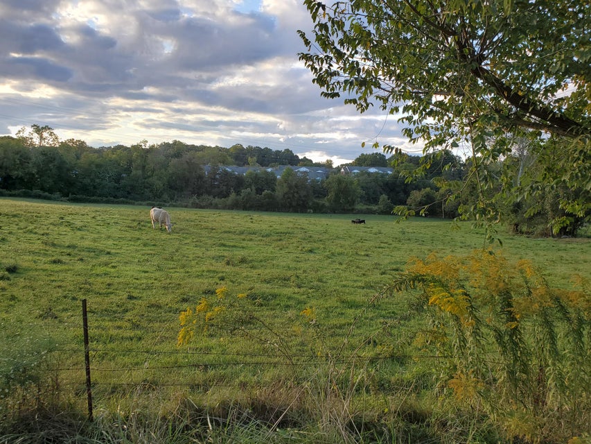 Photo #16: - Brookdale Drive