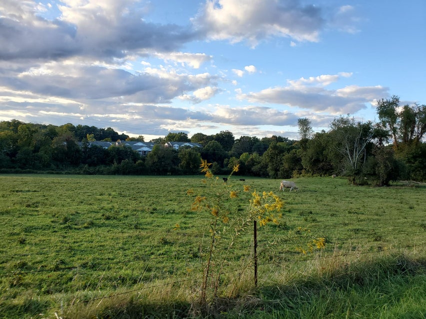 Photo #17: - Brookdale Drive