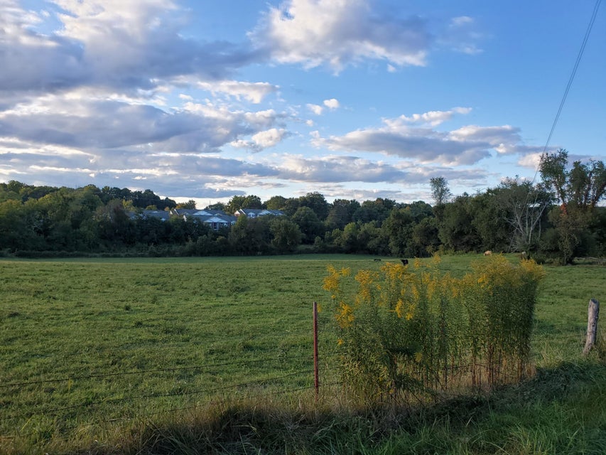 Photo #18: - Brookdale Drive