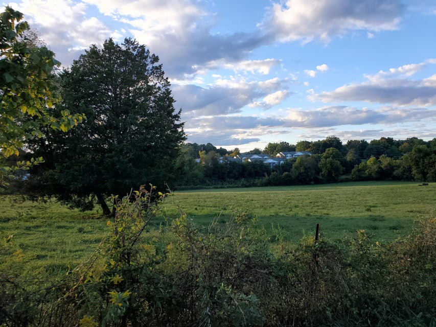 Photo #19: - Brookdale Drive