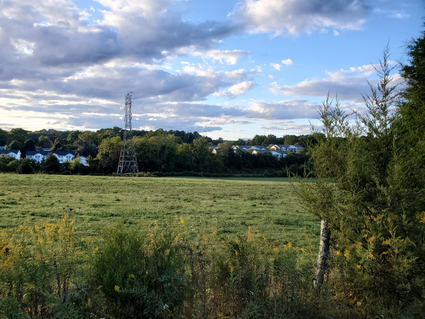 Photo #20: - Brookdale Drive