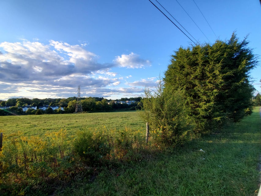 Photo #21: - Brookdale Drive