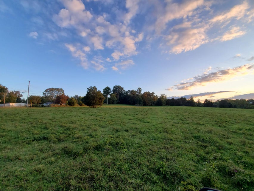 Photo #25: - Brookdale Drive