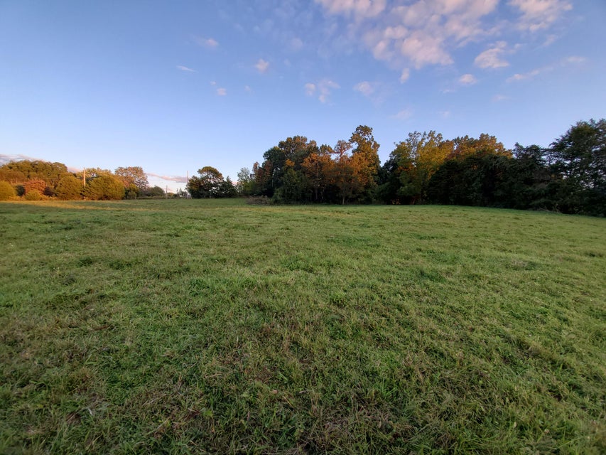 Photo #27: - Brookdale Drive