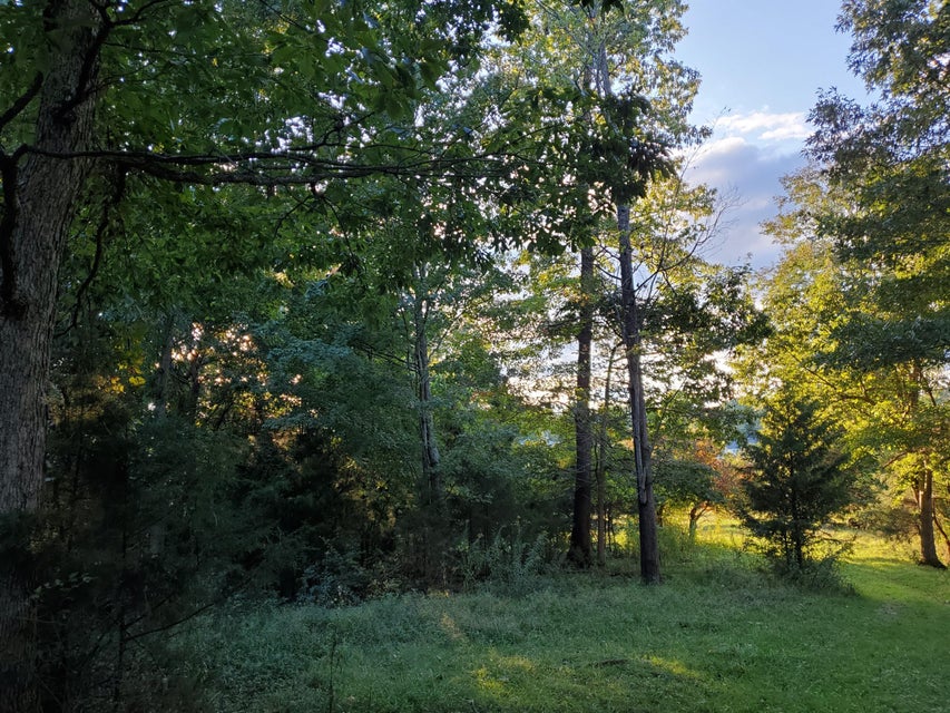 Photo #28: - Brookdale Drive