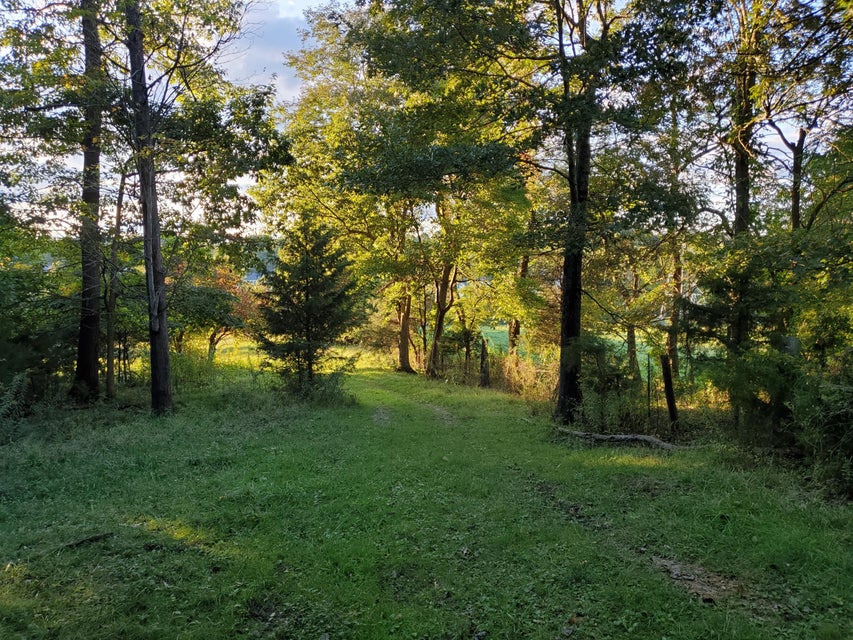 Photo #29: - Brookdale Drive