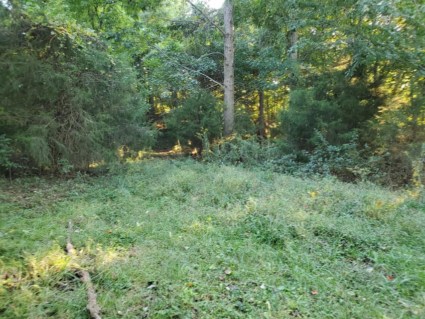 Photo #30: - Brookdale Drive