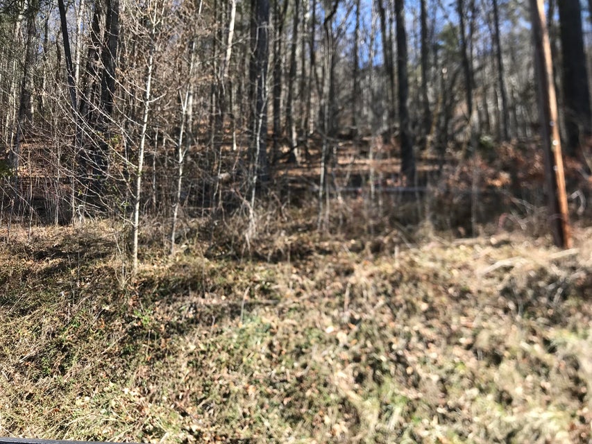 Photo #4: 00 Rhea Road