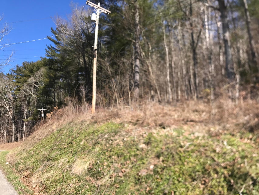 Photo #5: 00 Rhea Road