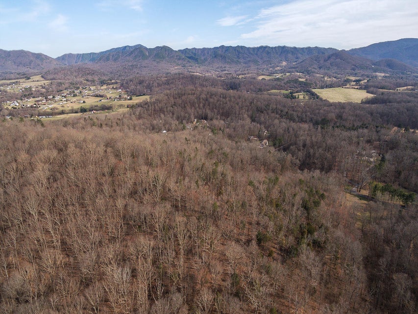 Photo #9: Tbd Walts 15.7 Ac Way