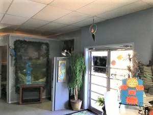 Photo #11: 1144 Main Avenue