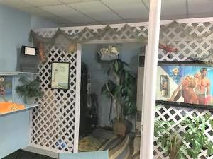 Photo #7: 1144 Main Avenue
